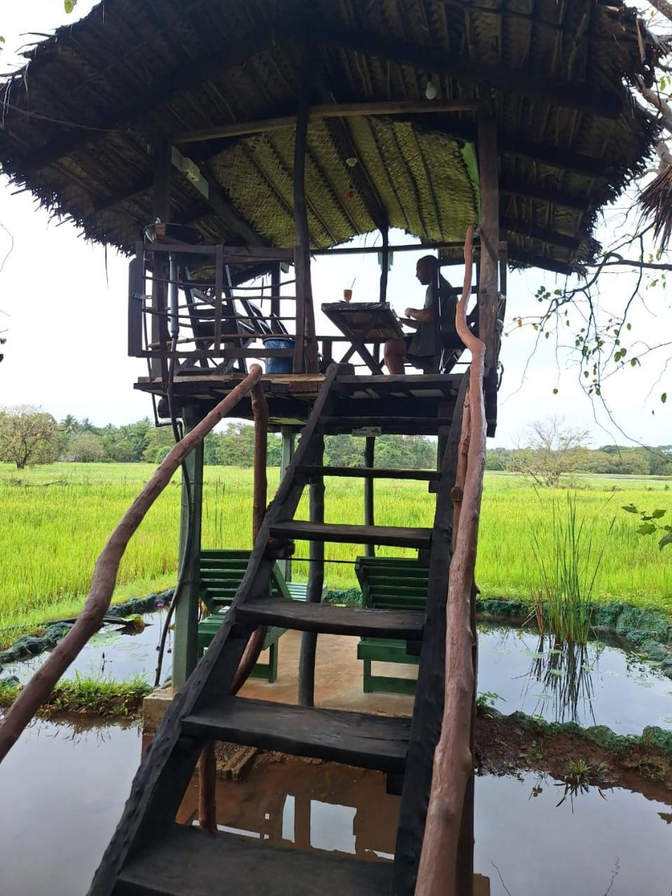 Lake Wind Habarana Exterior foto